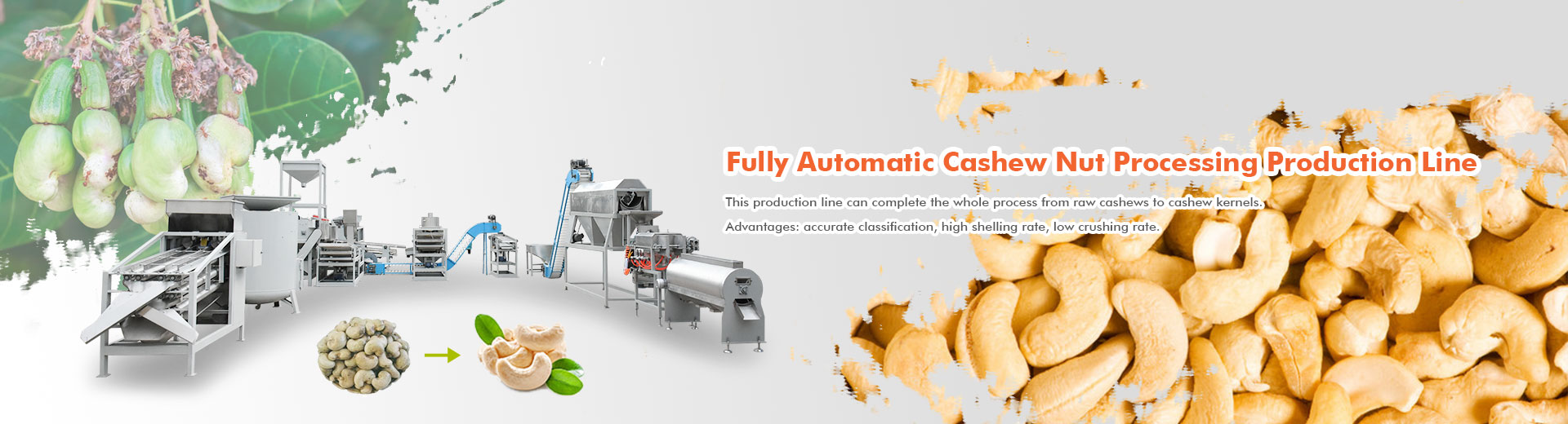 Fully Automatic Cashew Nut Proc