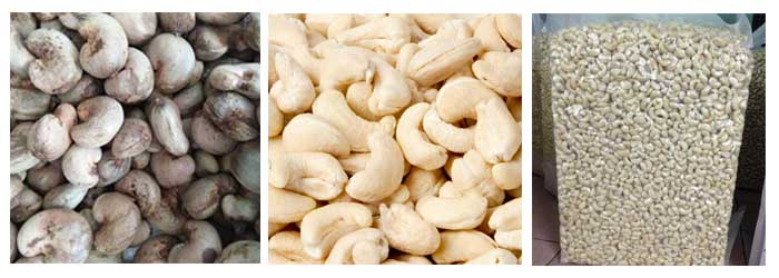 Good Cashew Nut Processing Machine Price