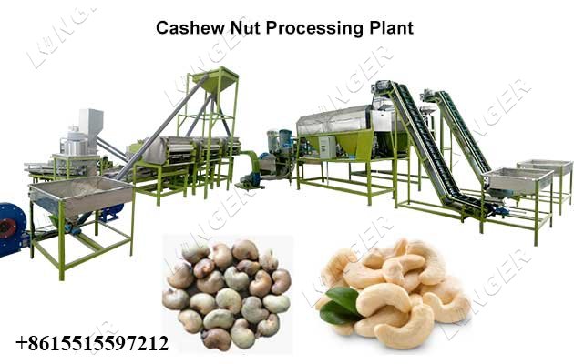 Fully Automatic Cashew Nut Processing Plant Price