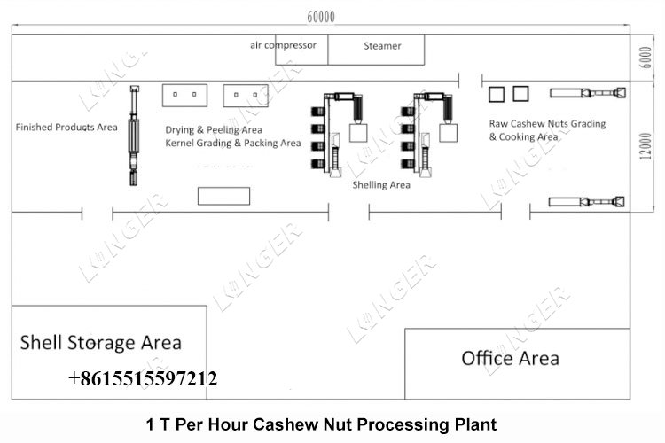 1 T Hr Cashew Nut Processing Plant Project