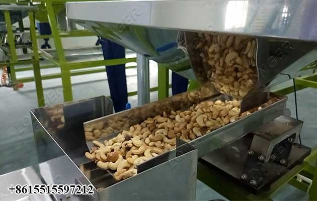 Cashew Nut Processing Plant Peeling Machine