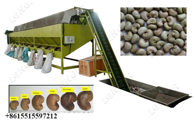 Raw Cashew Grading Machine 1500 KG / H