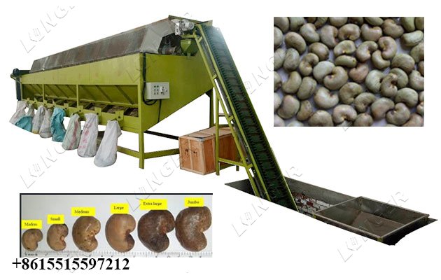 1500 KG Raw Cashew Kaju Grading Machine Manufacturer