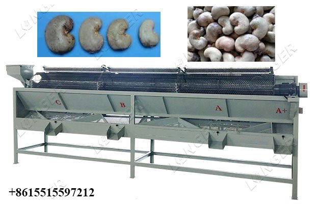Automatic Cashew Grading Machine in China