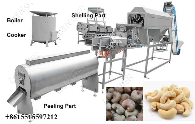 Automatic Cashew Nut Processing Machine Line Price 500 KG / H