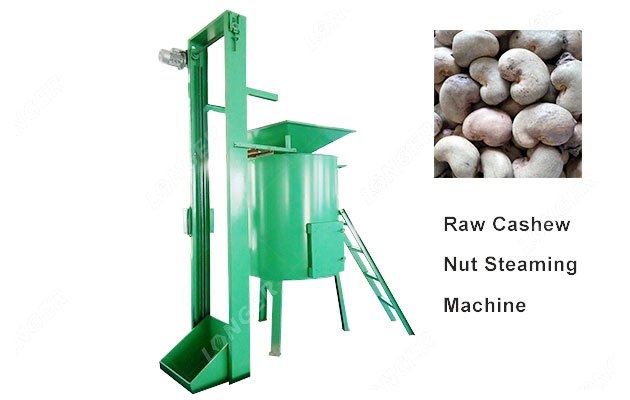 Raw Cashew Nut Steaming Machine for Sale