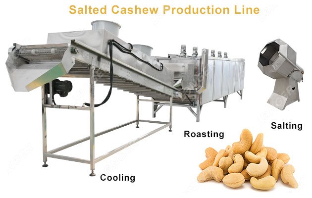 Continuous Salted Cashew Roasting Machine Production Line