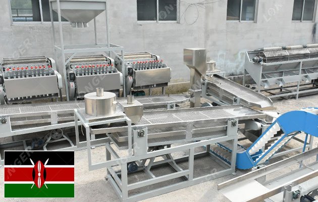 Modern Cashew Processing Project Landed In Kenya