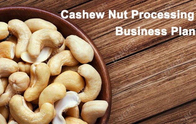 Cashew Nut Processing Business Plan - Step-by-Step Guide