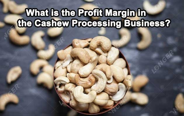 What is the Profit Margin in the Cashew Processing Business?