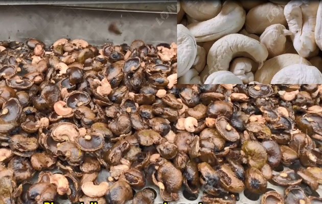 What Machines Are Required for Cashew Processing in Factory?