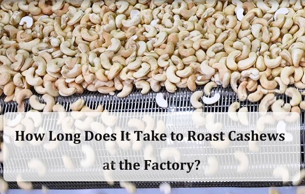 How Long Does It Take to Roast Cashews at the Factory?