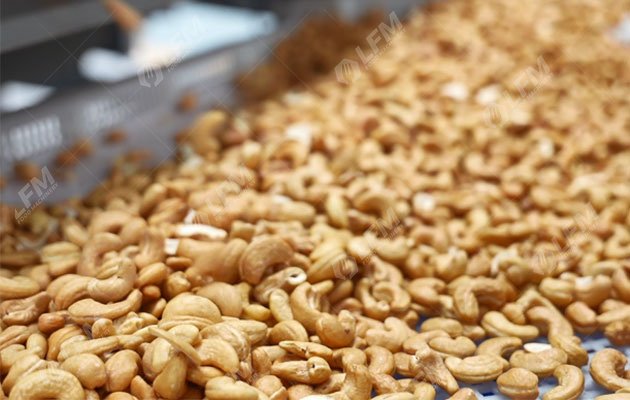 How To Salt And Roast Raw Cashews? Industrial Production Process