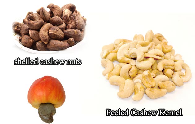 Cashew nuts