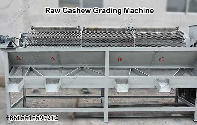 Cashew Nut Processing Machine - Grading Machine