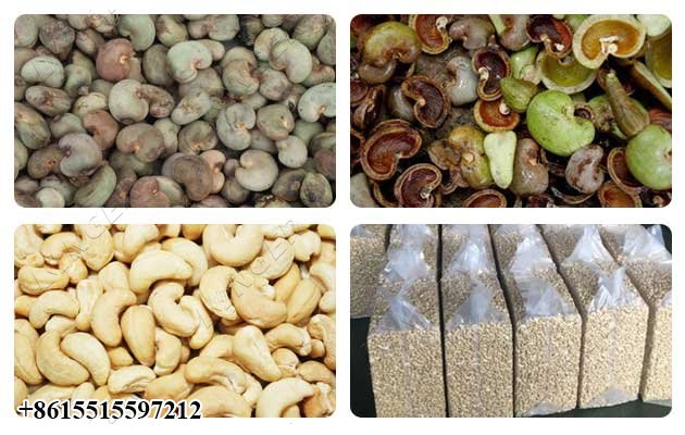 Automatic Cashew Nut Processing Plant Cost