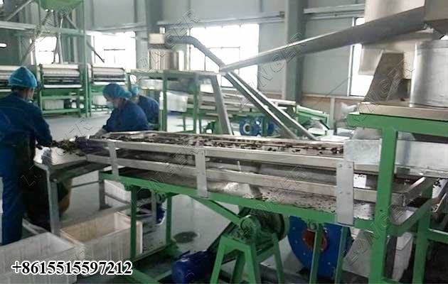 Cashew Nut Processing Plant Shelling Machine
