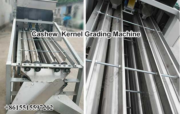 Small Cashew Nut Processing Machine - Grading Machine