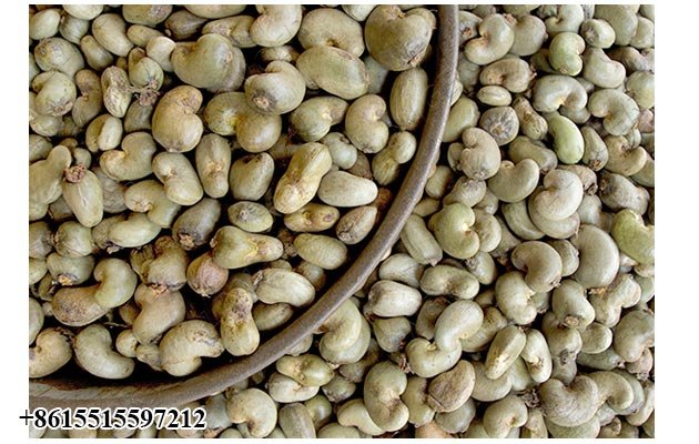 Automatic Cashew Nut Grading Machine Supplier