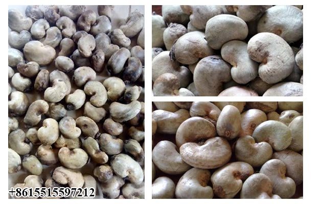 Cashew Nut Grading Machine in China