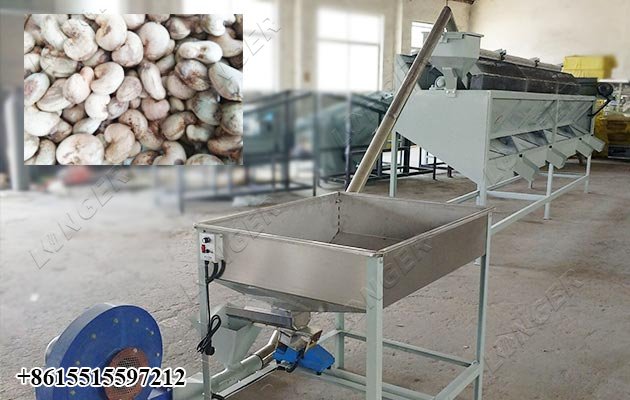 Best Cashew Nut Grading Machine Price 