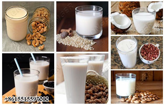 Multifunctional Cashew Nut Milk Making Machine