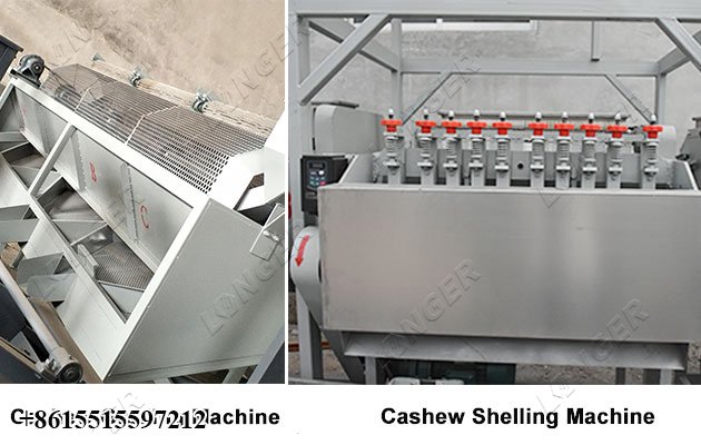 Cashew Nut Processing Machine - Grading and Shelling