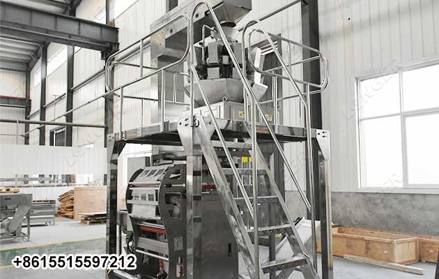 Cashew Nut Packing Machine Manufacturer in China