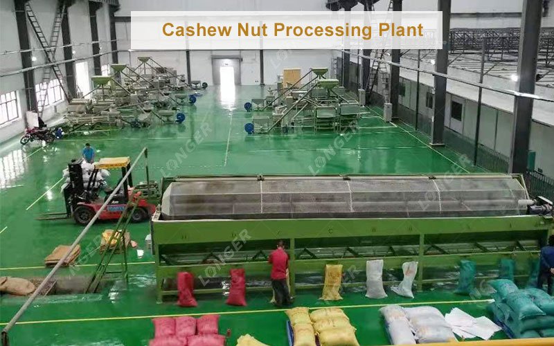 Build a Cashew Nut Processing Plant