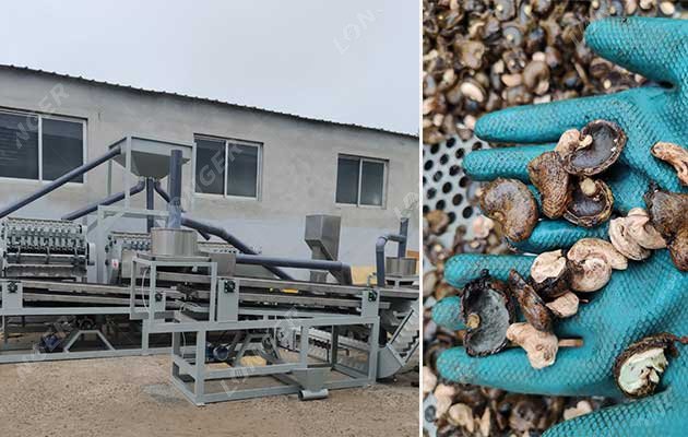 Purchase cashew nut processing equipment