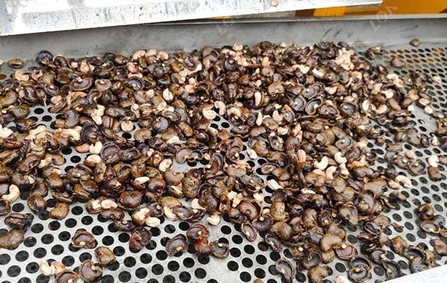 Cashew Nut Processing Methods in Factory