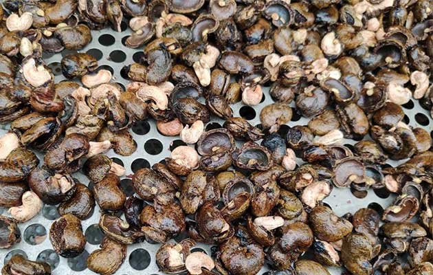How to Break Cashew Nut Shell in the Factory?