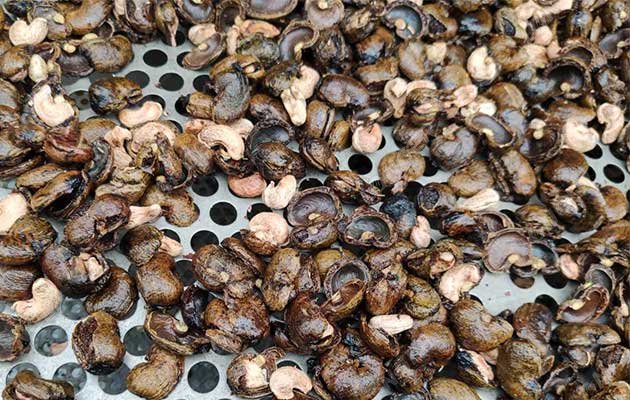 How to Break Cashew Nut Shell?