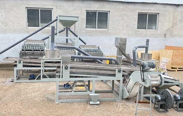 Cashew Nut Processing Machine in the Factory