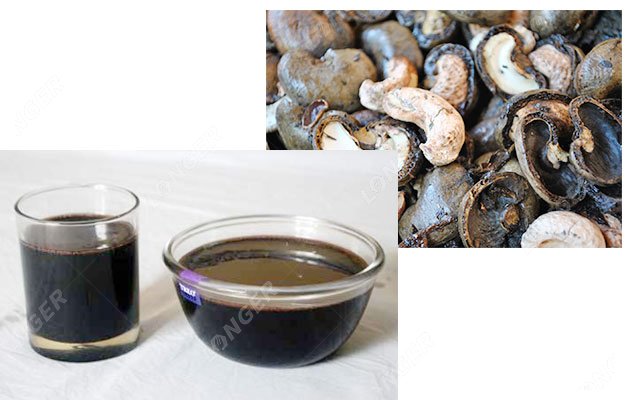 Cashew Shell Oil Extraction Machinery