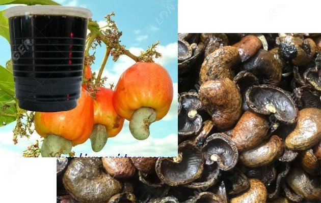 Cashew Nut Shell Oil Uses