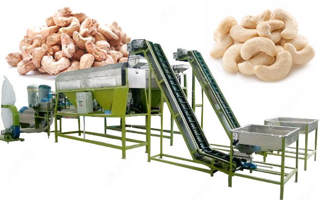 How Cashew Peeling Machine Works?