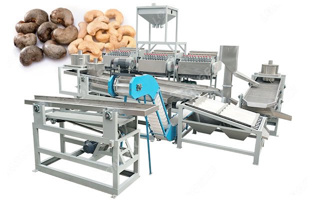 5 TPD Raw Cashew Kaju Processing Unit for Sale