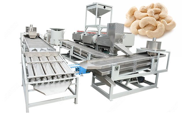 Automatic Kaju Processing Unti for Sale