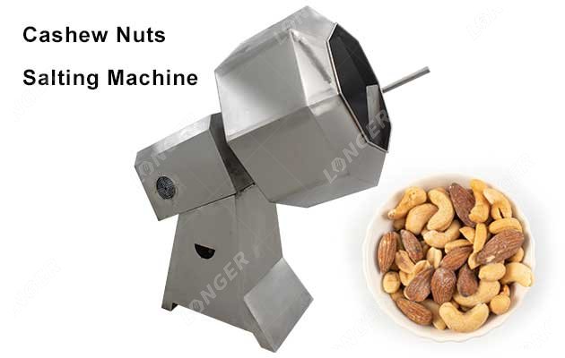 Stainless Steel Cashew Salting Machine