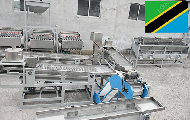 5 TPD Cashew Nut Production Solution in Tanzania