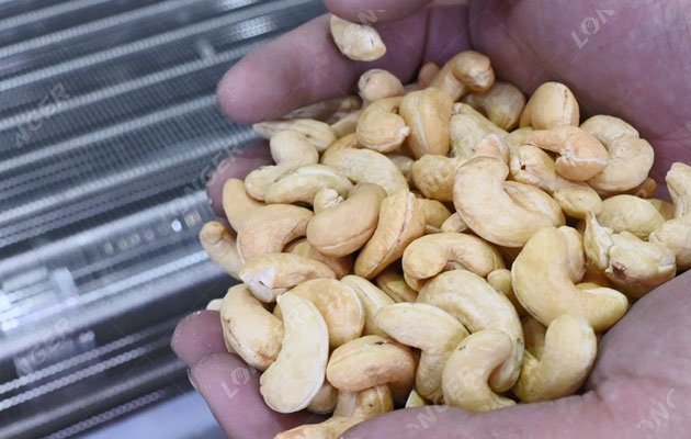 Automatic Cashew Nut Roasting Line