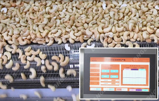 Cashew Roasting Line with Precise Control System